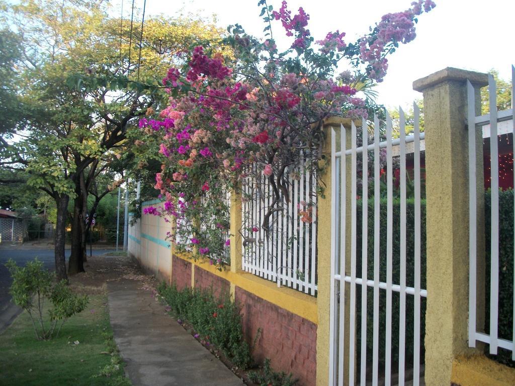 Hostal Casa Los Espinoza マナグア エクステリア 写真
