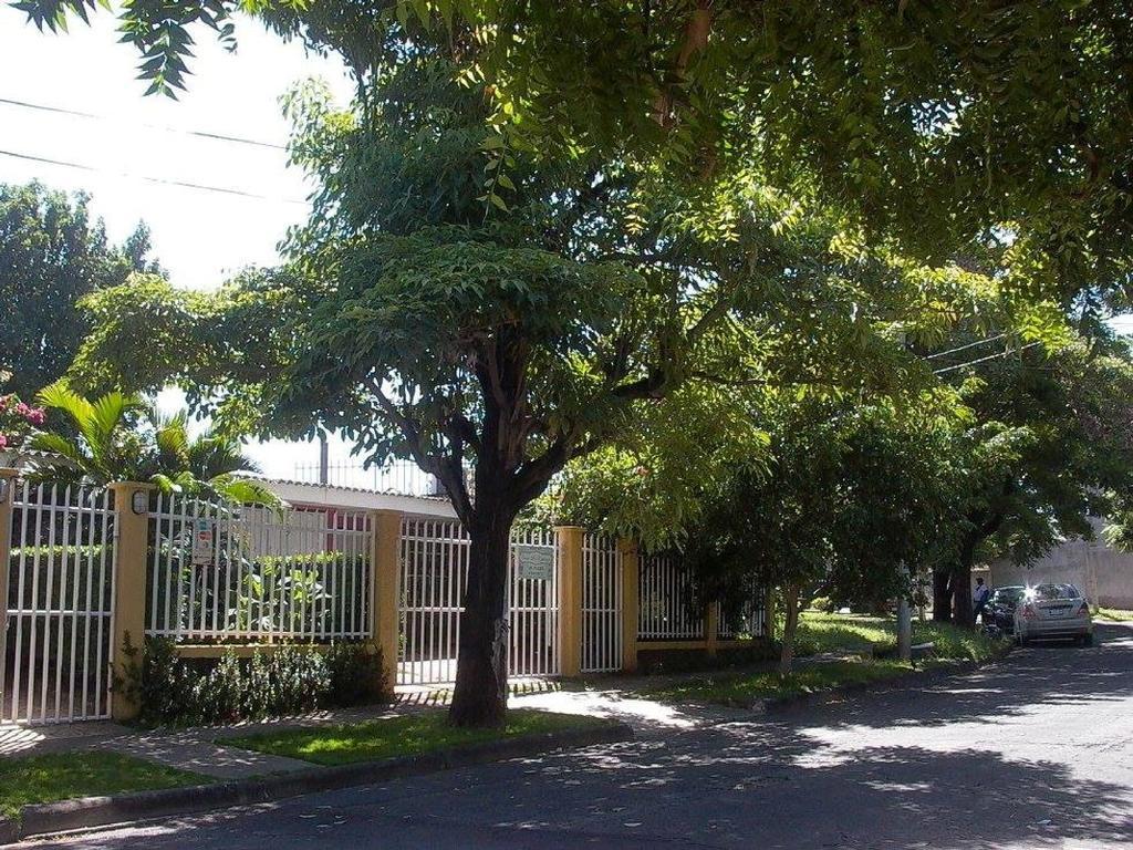 Hostal Casa Los Espinoza マナグア エクステリア 写真